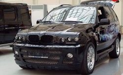 21 499 р. Передний бампер Тарантул BMW X5 E53 дорестайлинг (1999-2003) (Неокрашенный)  с доставкой в г. Екатеринбург. Увеличить фотографию 2