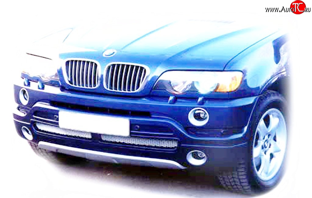 119 р. Накладка AS Concept на передний бампер BMW X5 E53 дорестайлинг (1999-2003) (Неокрашенная)  с доставкой в г. Екатеринбург