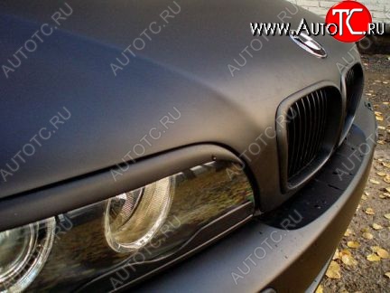 1 249 р. Реснички (нижние) на фары HAMANN BMW 5 серия E39 седан рестайлинг (2000-2003) (Неокрашенные)  с доставкой в г. Екатеринбург