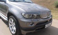 3 149 р. Реснички Storm на фары BMW X5 E53 дорестайлинг (1999-2003) (Неокрашенные)  с доставкой в г. Екатеринбург. Увеличить фотографию 2