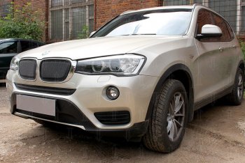 6 649 р. Защитная сетка решетки радиатора Стрелка 11 Премиум (алюминий) BMW X3 F25 рестайлинг (2014-2017) (Цвет: черный)  с доставкой в г. Екатеринбург. Увеличить фотографию 2