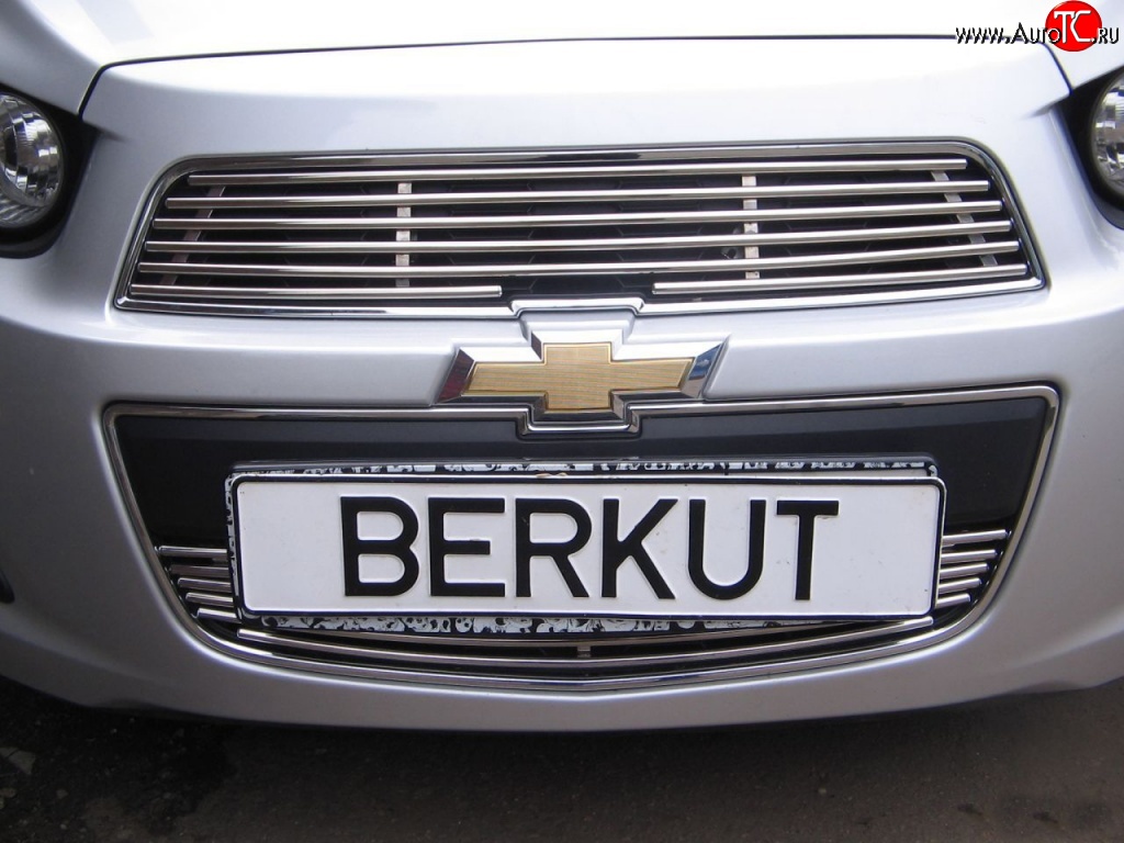 3 999 р. Декоративная вставка воздухозаборника Berkut Chevrolet Aveo T300 седан (2011-2015)  с доставкой в г. Екатеринбург