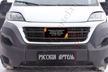 2 249 р. Защитная сетка решетки переднего бампера RA Fiat Ducato 290 (2014-2024)  с доставкой в г. Екатеринбург. Увеличить фотографию 1