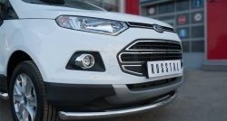 13 599 р. Одинарная защита переднего бампера диаметром 63 мм SLITKOFF Ford EcoSport дорестайлинг (2013-2019)  с доставкой в г. Екатеринбург. Увеличить фотографию 2