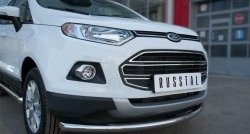 13 599 р. Одинарная защита переднего бампера диаметром 63 мм SLITKOFF Ford EcoSport дорестайлинг (2013-2019)  с доставкой в г. Екатеринбург. Увеличить фотографию 3