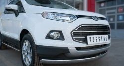 15 649 р. Защита переднего бампера (Ø75х42 мм, нержавейка) Russtal Ford EcoSport дорестайлинг (2013-2019)  с доставкой в г. Екатеринбург. Увеличить фотографию 2