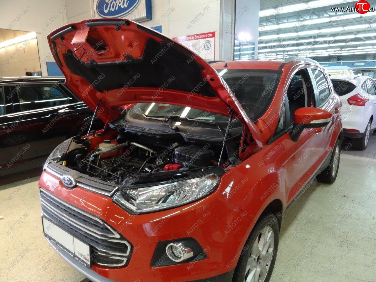 2 299 р. Упоры капота Russtal Ford EcoSport дорестайлинг (2013-2019)  с доставкой в г. Екатеринбург