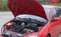 Упор капота Sport Ford Focus 1 хэтчбэк 5 дв. дорестайлинг (1998-2002)