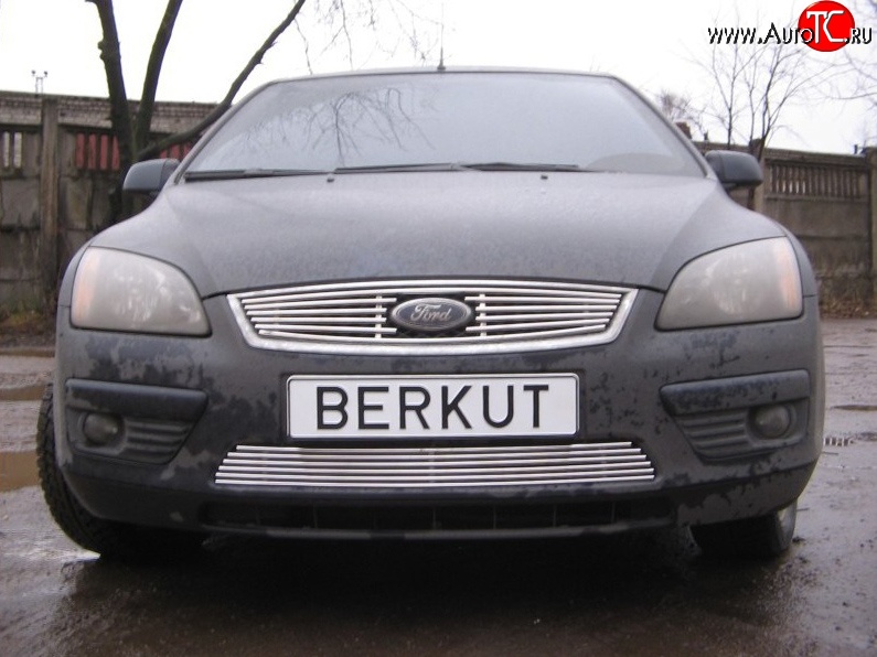 4 999 р. Декоративная вставка решетки радиатора Berkut Ford Focus 2  седан дорестайлинг (2004-2008)  с доставкой в г. Екатеринбург