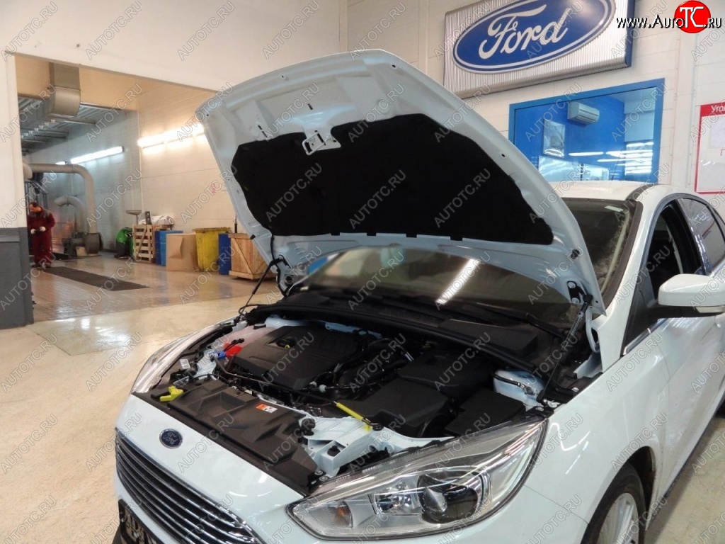 2 199 р. Газовые упоры капота Berkut Ford Focus 3 седан дорестайлинг (2011-2015)  с доставкой в г. Екатеринбург