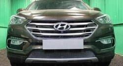 Защитная сетка на бампер Russtal Hyundai (Хюндаи) Santa Fe (Санта)  DM (2015-2019) DM рестайлинг  (черная)