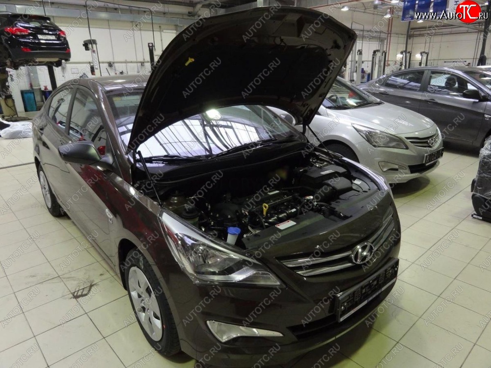 2 199 р. Газовые упоры капота Berkut Hyundai Solaris RBr седан рестайлинг (2014-2017)  с доставкой в г. Екатеринбург