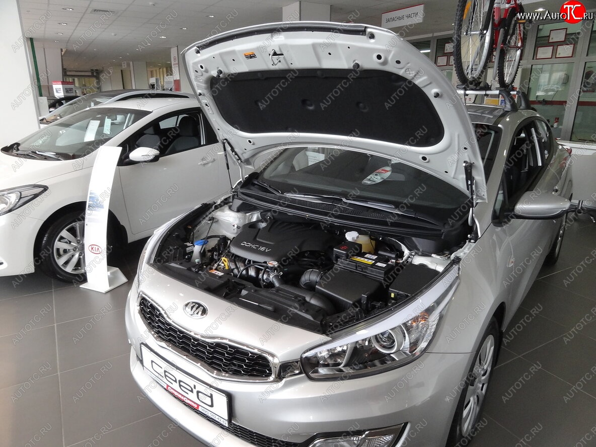 2 049 р. Упоры капота Russtal KIA Ceed 2 JD дорестайлинг универсал (2012-2016)  с доставкой в г. Екатеринбург