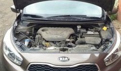 2 199 р. Газовые упоры капота Berkut  KIA Ceed  1 ED (2010-2012) рестайлинг, хэтчбэк 5 дв.  с доставкой в г. Екатеринбург. Увеличить фотографию 1