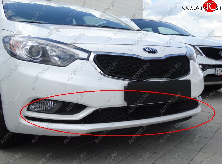 1 469 р. Нижняя защитная сетка на бампер Russtal (черная)  KIA Cerato  3 YD (2013-2016) дорестайлинг седан  с доставкой в г. Екатеринбург