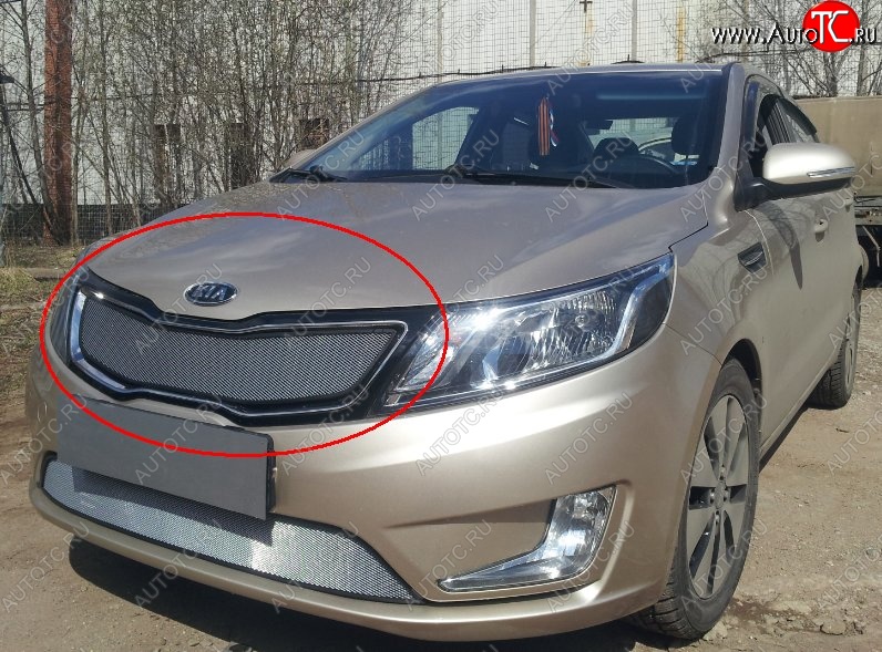 1 599 р. Сетка в решетку радиатора (к-я Premium) Russtal  KIA Rio  3 QB (2011-2015) дорестайлинг седан, дорестайлингхэтчбек5дв. (хром)  с доставкой в г. Екатеринбург