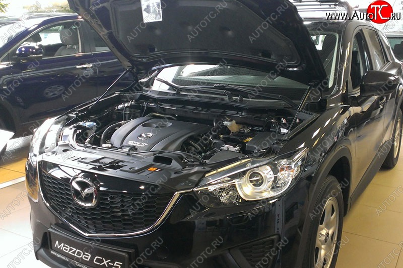 2 199 р. Газовые упоры капота Berkut Mazda CX-5 KE дорестайлинг (2011-2014)  с доставкой в г. Екатеринбург