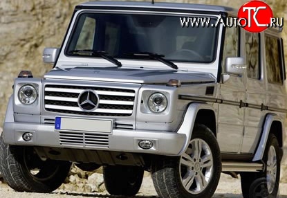 19 199 р. Решётка радиатора AMG Mercedes-Benz G class W463 5 дв. дорестайлинг (1989-1994) (Неокрашенная)  с доставкой в г. Екатеринбург