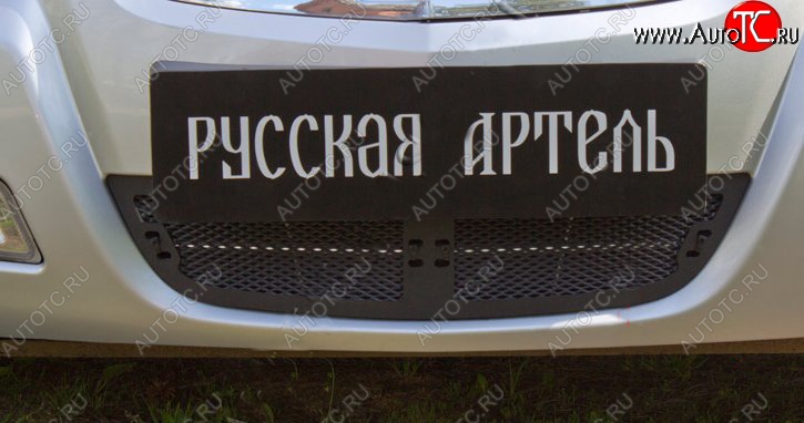 1 769 р. Защитная сетка решетки переднего бампера РА Nissan Almera Classic седан B10 (2006-2013)  с доставкой в г. Екатеринбург