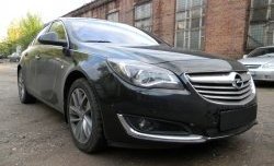 1 469 р. Сетка на бампер (рестайлинг) Russtal (черная)  Opel Insignia  A (2008-2017) дорестайлинг седан, рестайлинг седан, универсал рестайлинг  с доставкой в г. Екатеринбург. Увеличить фотографию 3