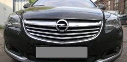 1 469 р. Сетка на бампер (рестайлинг) Russtal (черная)  Opel Insignia  A (2008-2017) дорестайлинг седан, рестайлинг седан, универсал рестайлинг  с доставкой в г. Екатеринбург. Увеличить фотографию 1