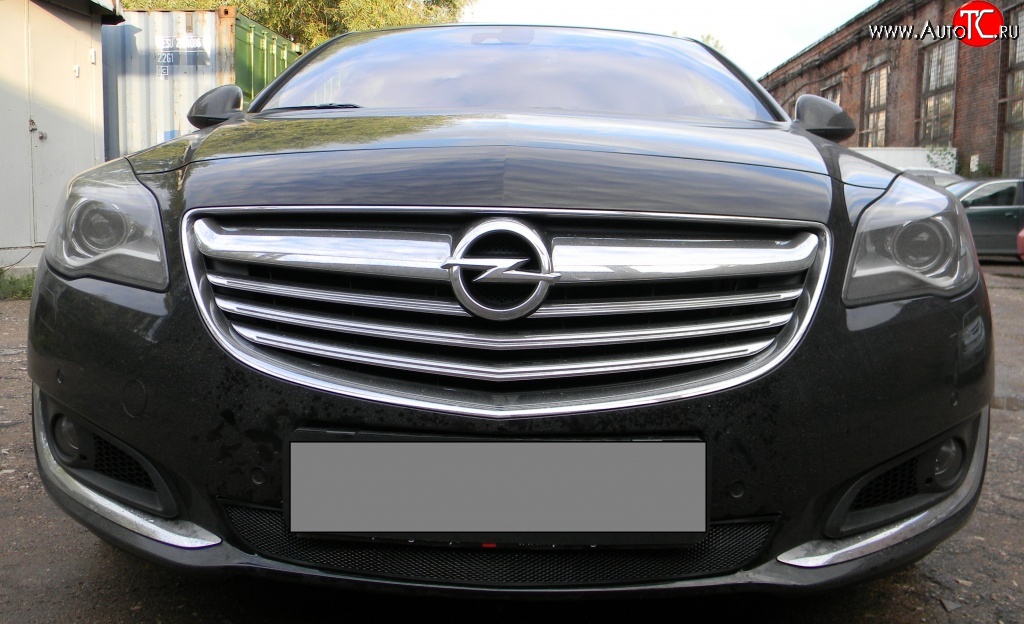 1 469 р. Сетка на бампер (рестайлинг) Russtal (черная) Opel Insignia A дорестайлинг седан (2008-2013)  с доставкой в г. Екатеринбург