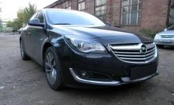 1 539 р. Сетка на бампер (рестайлинг) Russtal (хром)  Opel Insignia  A (2008-2017) дорестайлинг седан, рестайлинг седан, универсал рестайлинг  с доставкой в г. Екатеринбург. Увеличить фотографию 2