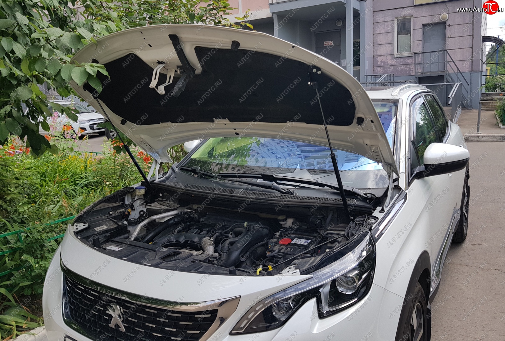 2 799 р. Упоры капота Russtal Peugeot 3008 2 (2016-2024)  с доставкой в г. Екатеринбург