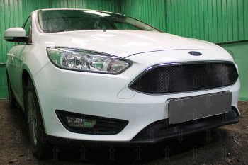 2 769 р. Защитная сетка в бампер (низ, ячейка 3х7 мм) Alfeco Стандарт Ford Focus 3 хэтчбэк рестайлинг (2014-2019) (Чёрная)  с доставкой в г. Екатеринбург. Увеличить фотографию 2