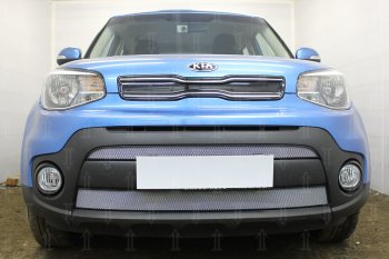 Защитная сетка в бампер (2 части, ячейка 3х7 мм) Alfeco Стандарт KIA Soul PS рестайлинг (2017-2019)  (Хром)