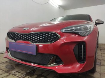 3 199 р. Защитная сетка в бампер (низ, ячейка 3х7 мм) Alfeco Стандарт  KIA Stinger (2017-2024) (Чёрная)  с доставкой в г. Екатеринбург. Увеличить фотографию 4