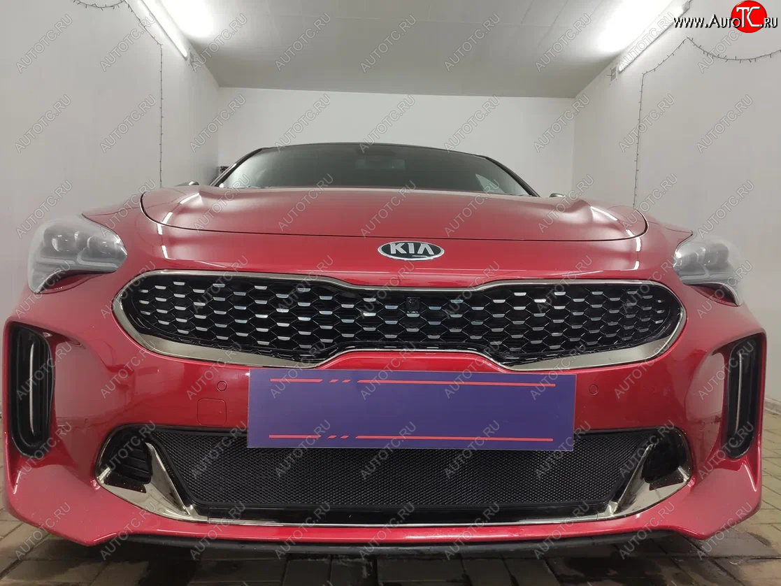 3 199 р. Защитная сетка в бампер (низ, ячейка 3х7 мм) Alfeco Стандарт  KIA Stinger (2017-2024) (Чёрная)  с доставкой в г. Екатеринбург