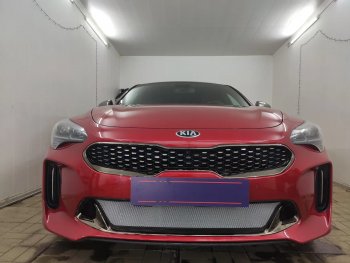 Защитная сетка в бампер (низ, ячейка 3х7 мм) Alfeco Стандарт KIA Stinger (2017-2025) ()