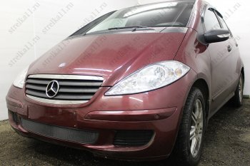 3 099 р. Защитная сетка в бампер (низ, ячейка 3х7 мм) Alfeco Стандарт Mercedes-Benz A class W169 дорестайлинг, хэтчбэк 5 дв. (2005-2008) (Чёрная)  с доставкой в г. Екатеринбург. Увеличить фотографию 2