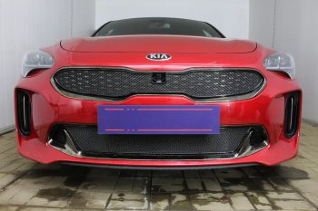 5 999 р. Защитная сетка в бампер (верх, ячейка 4х10 мм) Alfeco Премиум KIA Stinger (2017-2024) (Чёрная)  с доставкой в г. Екатеринбург. Увеличить фотографию 4