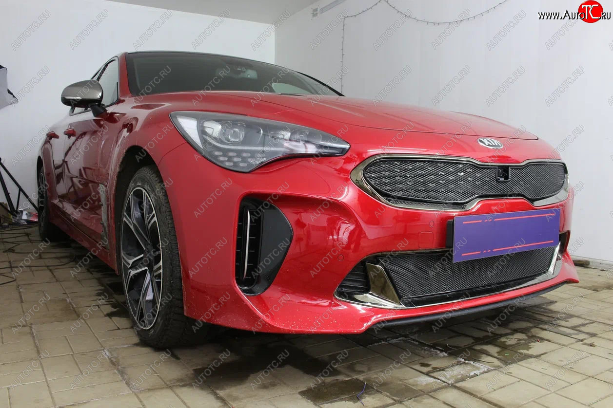 5 999 р. Защитная сетка в бампер (верх, ячейка 4х10 мм) Alfeco Премиум KIA Stinger (2017-2024) (Чёрная)  с доставкой в г. Екатеринбург