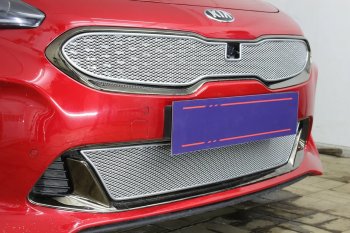 6 299 р. Защитная сетка в бампер (верх, ячейка 4х10 мм) Alfeco Премиум KIA Stinger (2017-2024) (Хром)  с доставкой в г. Екатеринбург. Увеличить фотографию 4