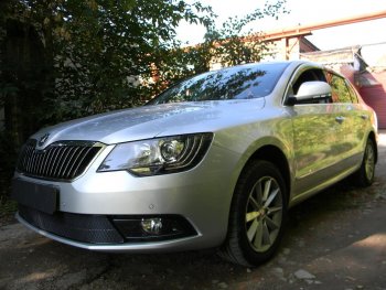 Защитная сетка в бампер (низ, ячейка 4х10 мм) Стрелка11 Премиум Skoda Superb (B6) 3T лифтбэк рестайлинг (2013-2015) ()