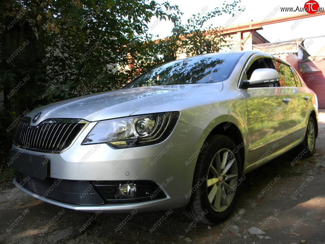 4 599 р. Защитная сетка в бампер (низ, ячейка 4х10 мм) Стрелка11 Премиум Skoda Superb (B6) 3T лифтбэк рестайлинг (2013-2015) (Чёрная)  с доставкой в г. Екатеринбург