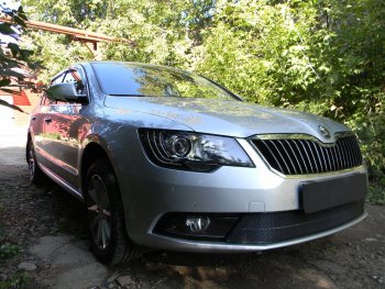 4 599 р. Защитная сетка в бампер (низ, ячейка 4х10 мм) Стрелка11 Премиум Skoda Superb (B6) 3T лифтбэк рестайлинг (2013-2015) (Чёрная)  с доставкой в г. Екатеринбург. Увеличить фотографию 3