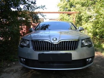 4 599 р. Защитная сетка в бампер (низ, ячейка 4х10 мм) Стрелка11 Премиум Skoda Superb (B6) 3T лифтбэк рестайлинг (2013-2015) (Чёрная)  с доставкой в г. Екатеринбург. Увеличить фотографию 2