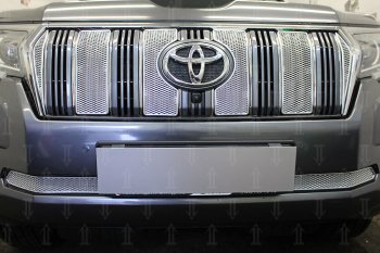 4 499 р. Защитная сетка в бампер (низ, ячейка 4х10 мм) Стрелка11 Премиум Toyota Land Cruiser Prado J150 2-ой рестайлинг (2017-2020) (Хром)  с доставкой в г. Екатеринбург. Увеличить фотографию 1