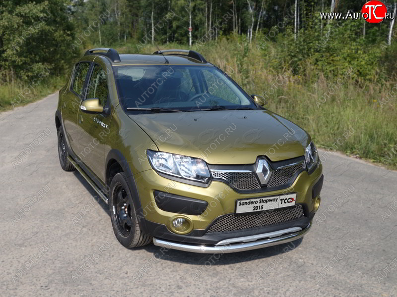 14 999 р. Защита переднего бампера нижняя d60,3 мм ТСС Тюнинг Renault Sandero Stepway (B8) дорестайлинг (2014-2018) (нержавейка)  с доставкой в г. Екатеринбург