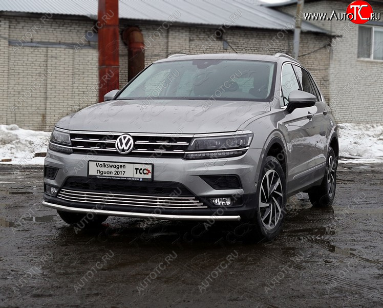 16 999 р. Защита переднего бампера нижняя d42,4 мм ТСС Тюнинг Volkswagen Tiguan Mk2 дорестайлинг (2016-2020) (нержавейка)  с доставкой в г. Екатеринбург