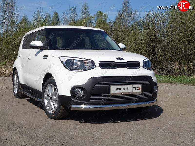 6 199 р. Рамка гос. номера ТСС Тюнинг  KIA Soul  PS (2017-2019) рестайлинг (нержавейка)  с доставкой в г. Екатеринбург