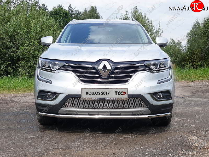 6 249 р. Рамка гос. номера ТСС Тюнинг  Renault Koleos  2 (2016-2024) (нержавейка)  с доставкой в г. Екатеринбург