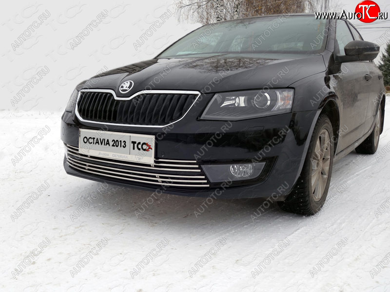 6 249 р. Рамка гос. номера ТСС Тюнинг  Skoda Octavia  A7 (2012-2017) дорестайлинг лифтбэк, дорестайлинг универсал (нержавейка)  с доставкой в г. Екатеринбург