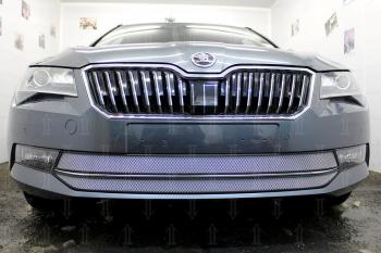 4 799 р. Защита радиатора (2 части) Стрелка11 Стандарт  Skoda Superb ( B8 (3V),  B8 (3V5)) (2015-2019) лифтбэк дорестайлинг, универсал дорестайлинг (хром)  с доставкой в г. Екатеринбург. Увеличить фотографию 2