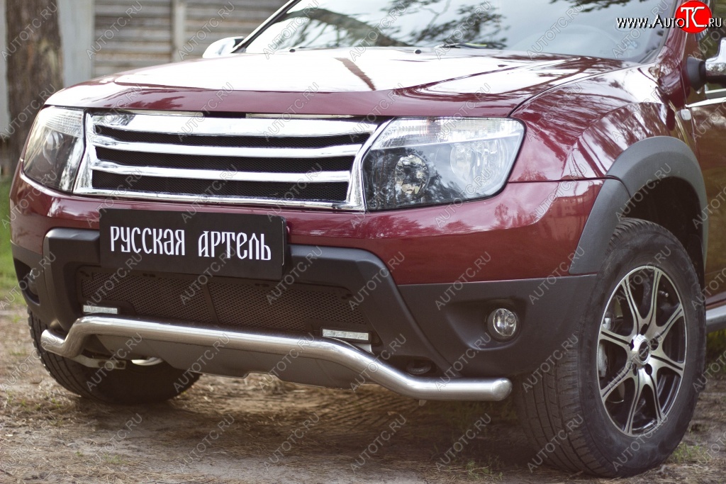 2 179 р. Защитная сетка решетки переднего бампера (c дхо и обвесом) РА  Renault Duster  HS (2010-2015) дорестайлинг  с доставкой в г. Екатеринбург