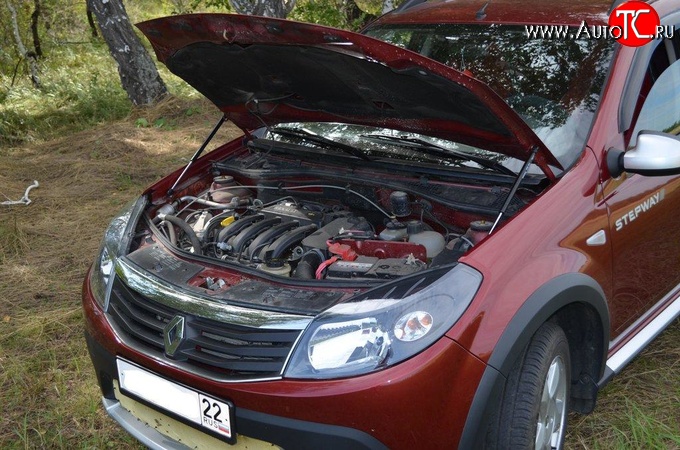 2 969 р. Упор капота Sport. Renault Sandero (BS) (2009-2014)  с доставкой в г. Екатеринбург